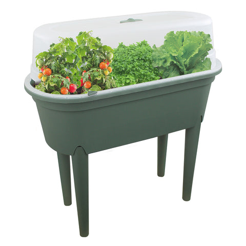 Mini Greenhouse Plant Seeding Table