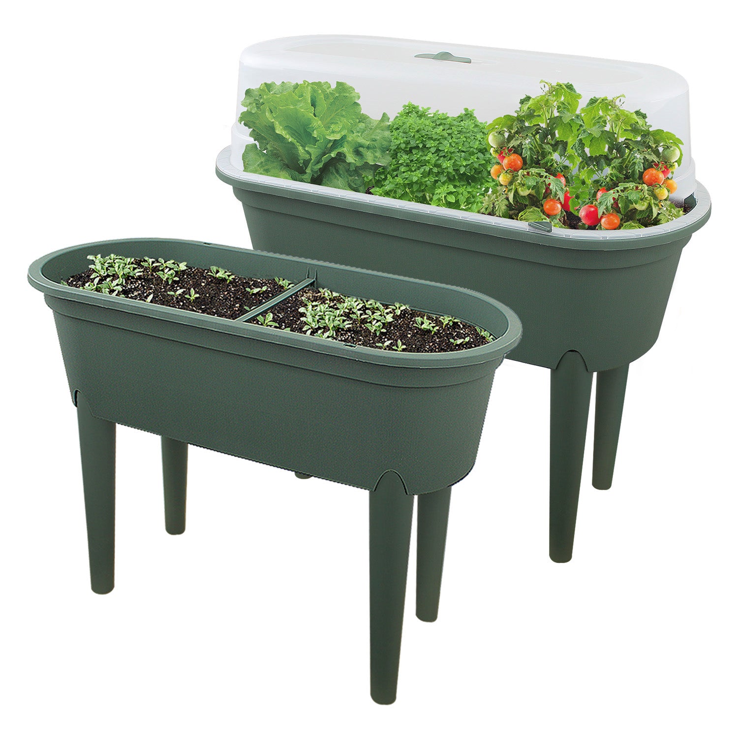 Mini Greenhouse Plant Seeding Table