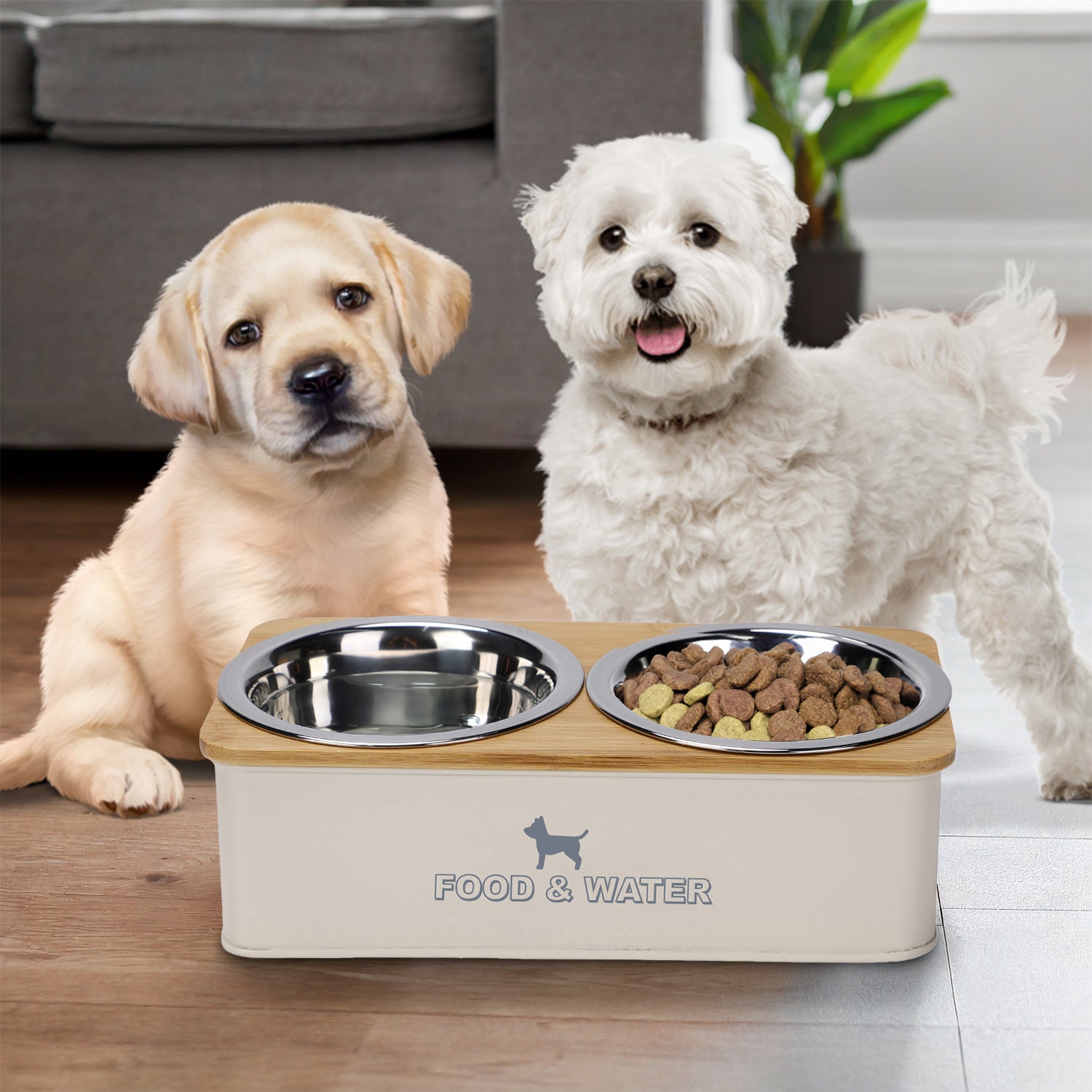 Double Dog Bowl Elevated Diner Set