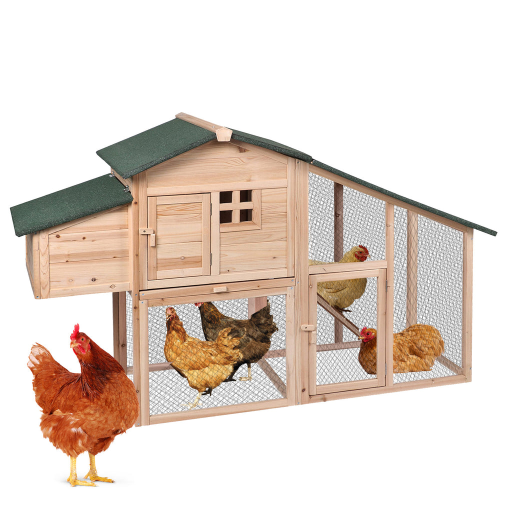 Wooden Chicken Coop with Nesting Box