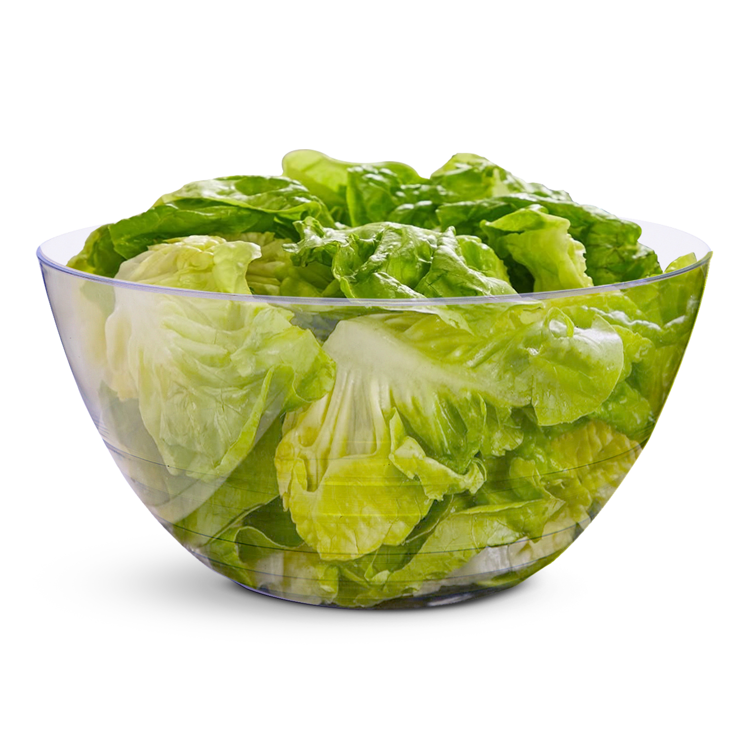 Clear Swirl Plastic Salad Serving Bowl